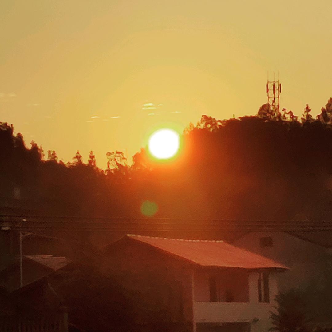 酒酒酒