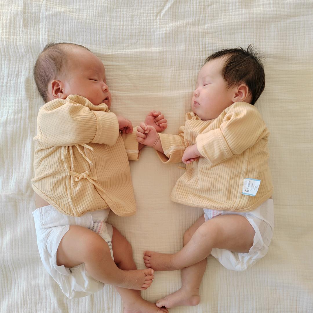 序宝&贺宝