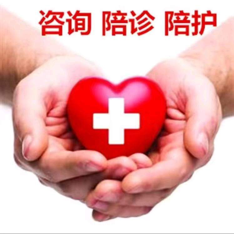 上海）陪同小陆