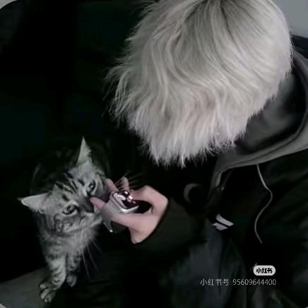 狠狠