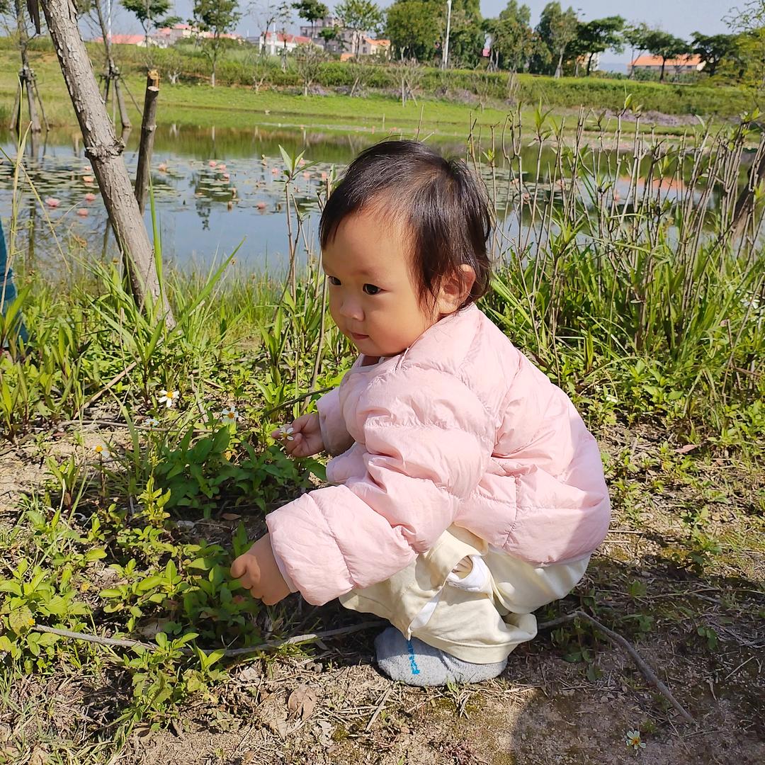 汤圆宝贝