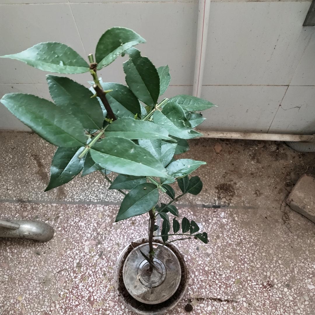 同志
