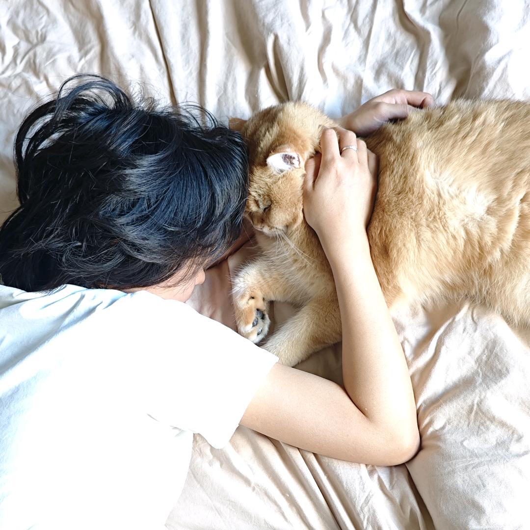 我是个蛋！
