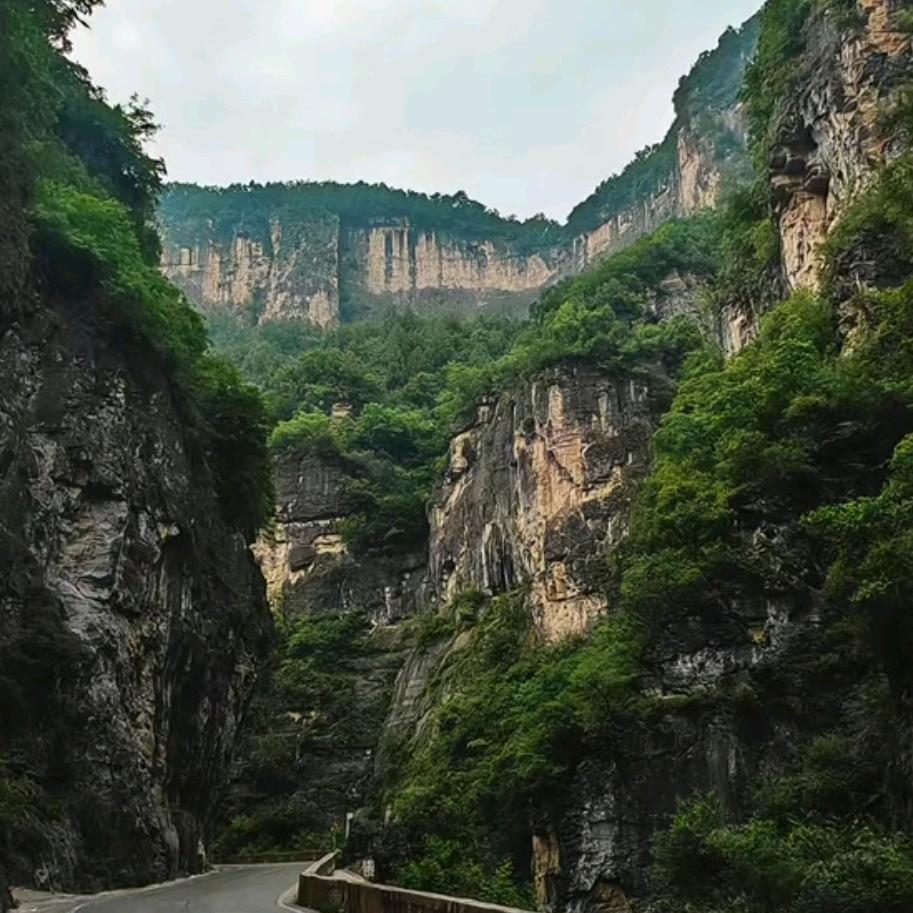 淡雅清香