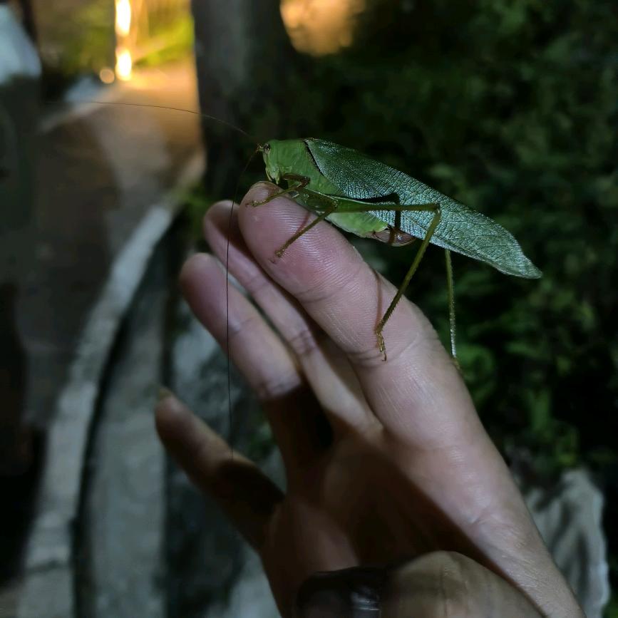 唐糖最好看
