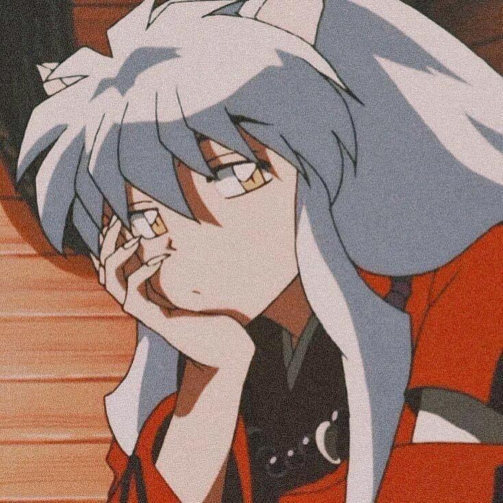 白鸽