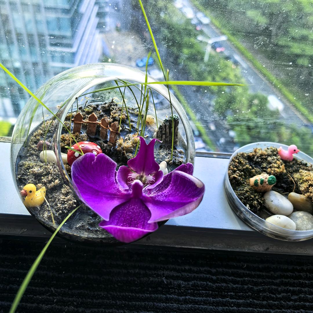 可乐妈妈(商品在橱窗)