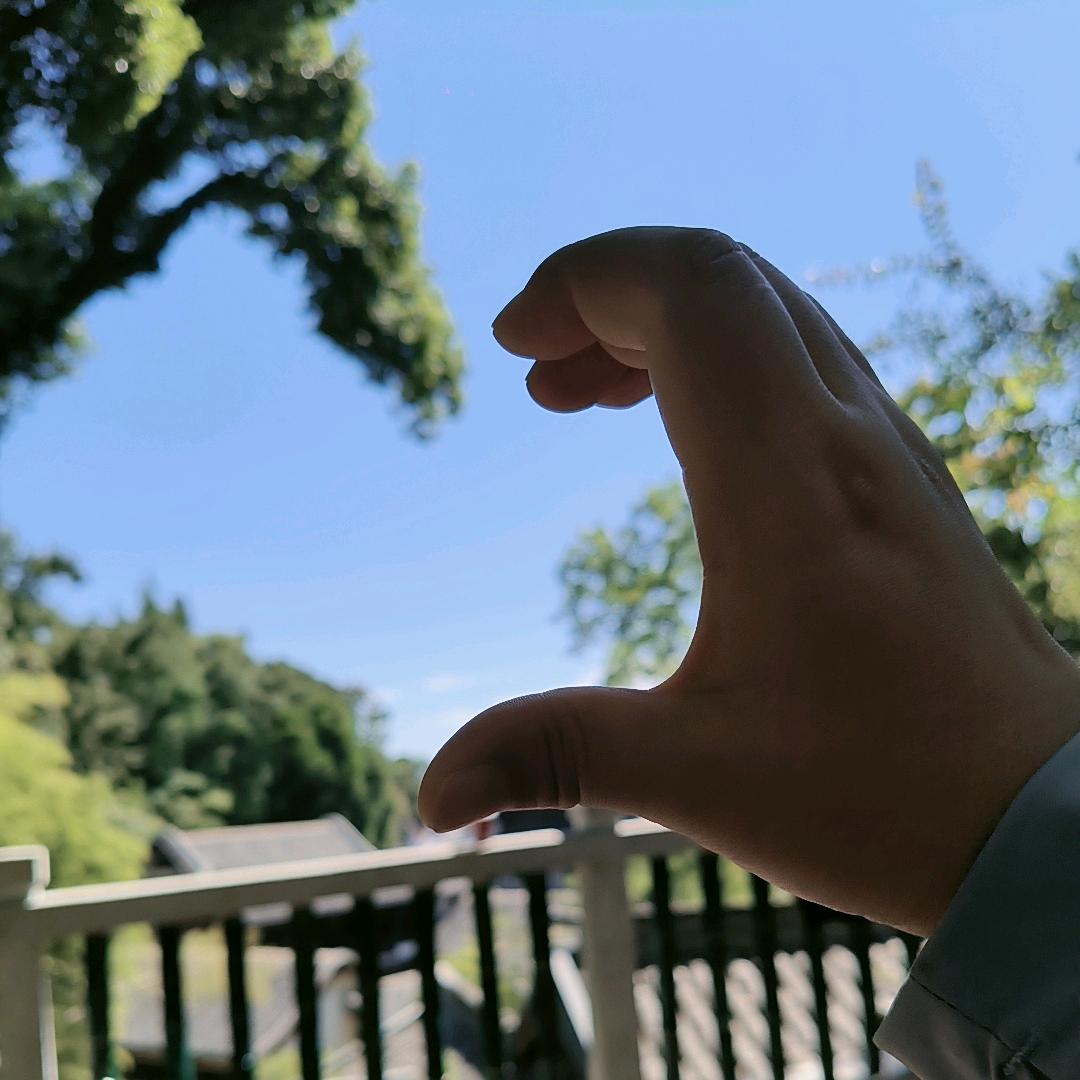 七秒钟的记忆