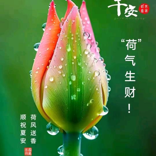 护肤甄选好物