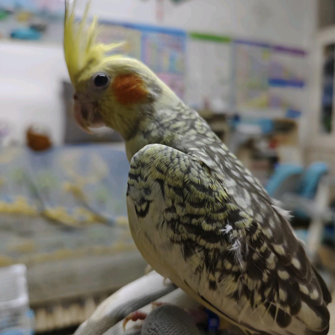 岁月的痕迹￥铭