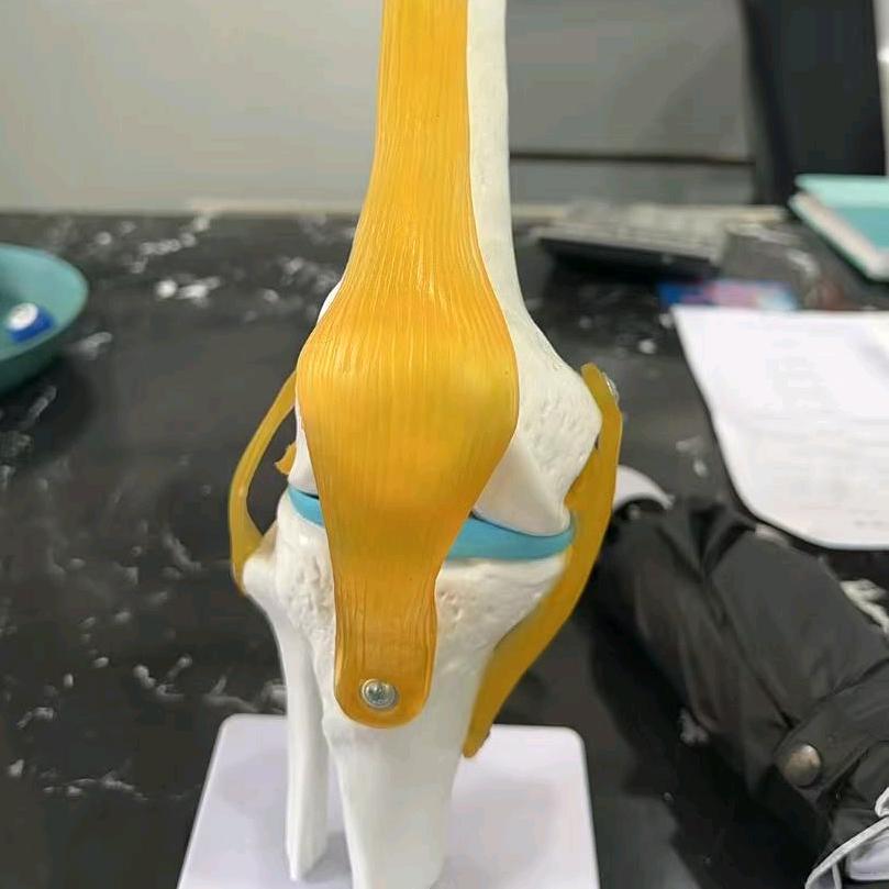 开健正脊家骏