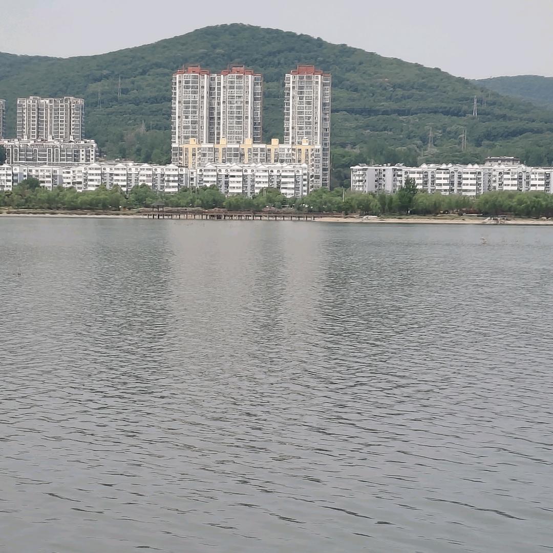 悠悠