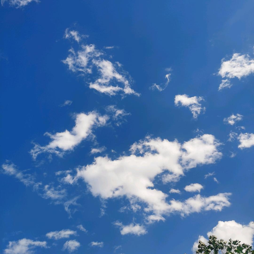 保定府《小超》