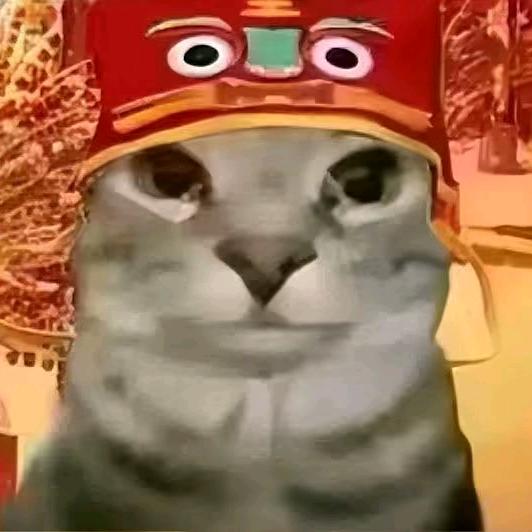Li酱