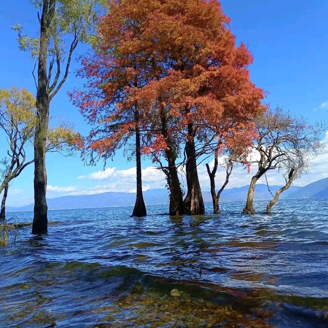 🥀᭄运气爆彭💕安全着陆💕