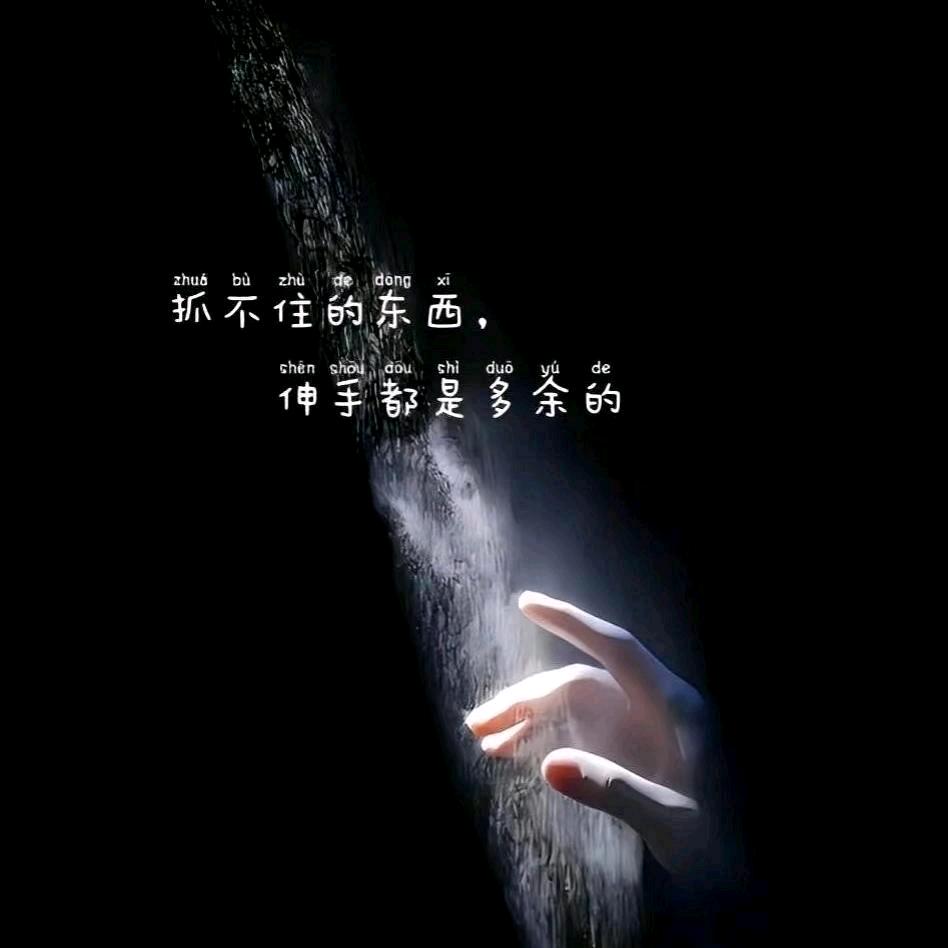 ヤ℡低调→🐾