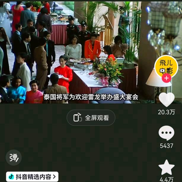 布偶猫😽