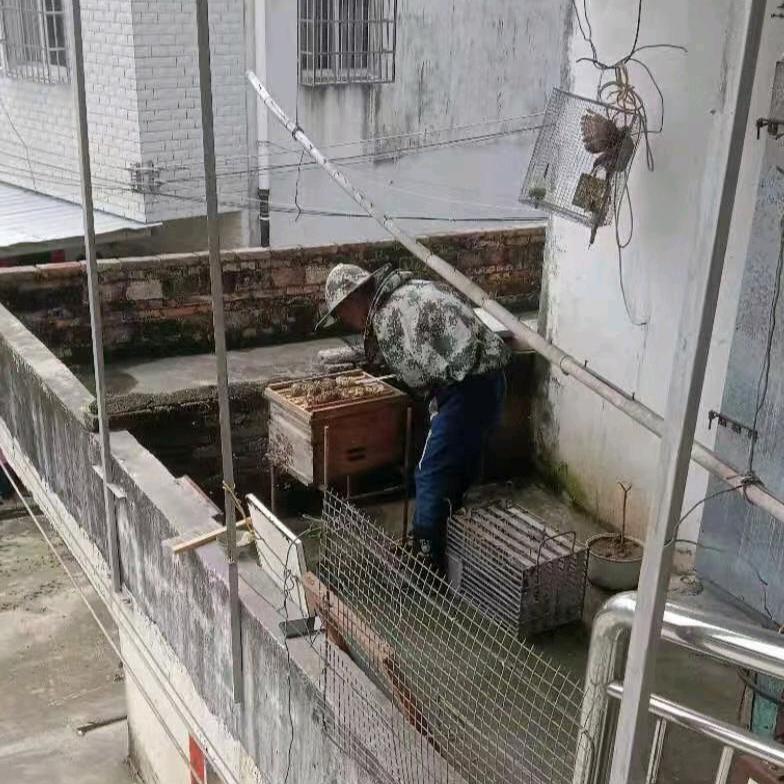 多甜蜜养蜂