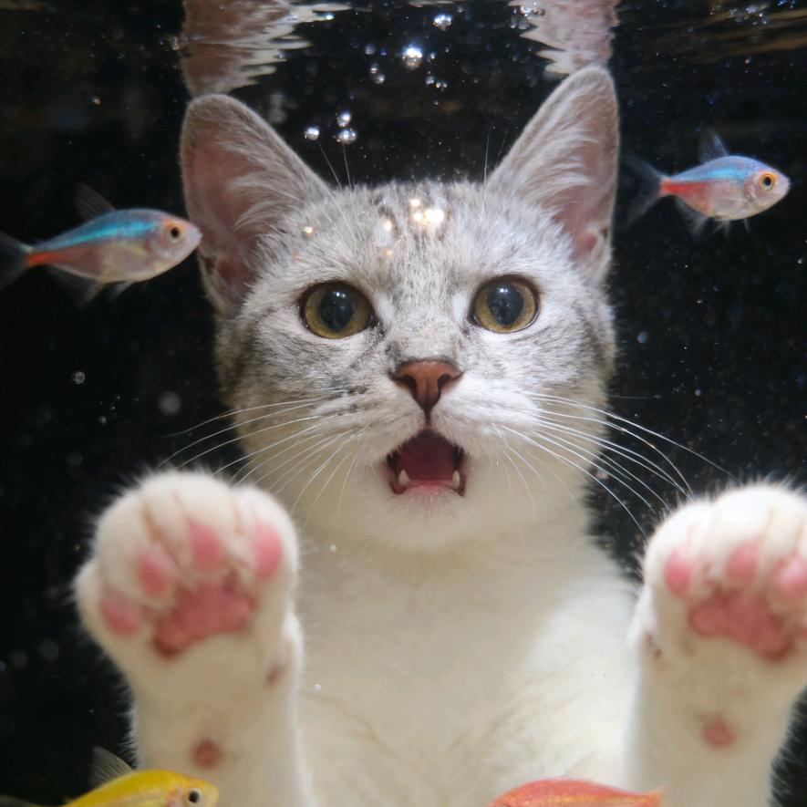 我叫多多  多少的多