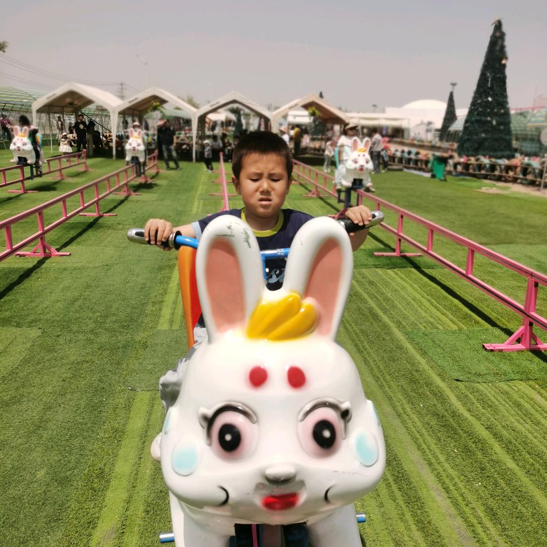 BH丽丽