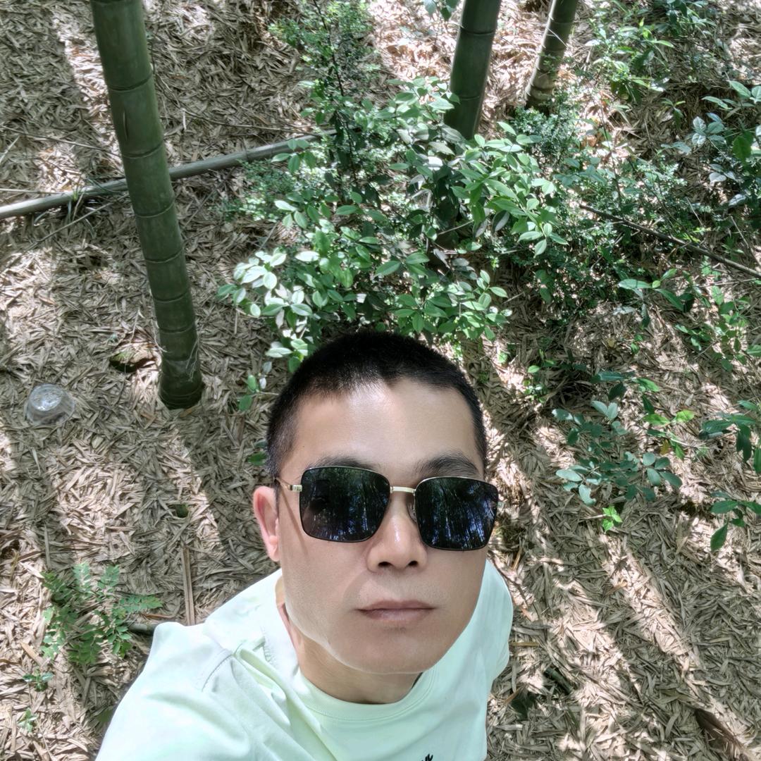 扶摇$直上