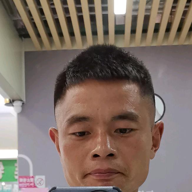 聆听流浪者之声