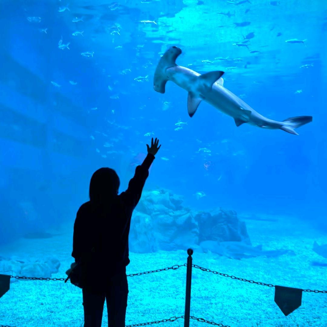 小鲸鱼🐳修炼日记