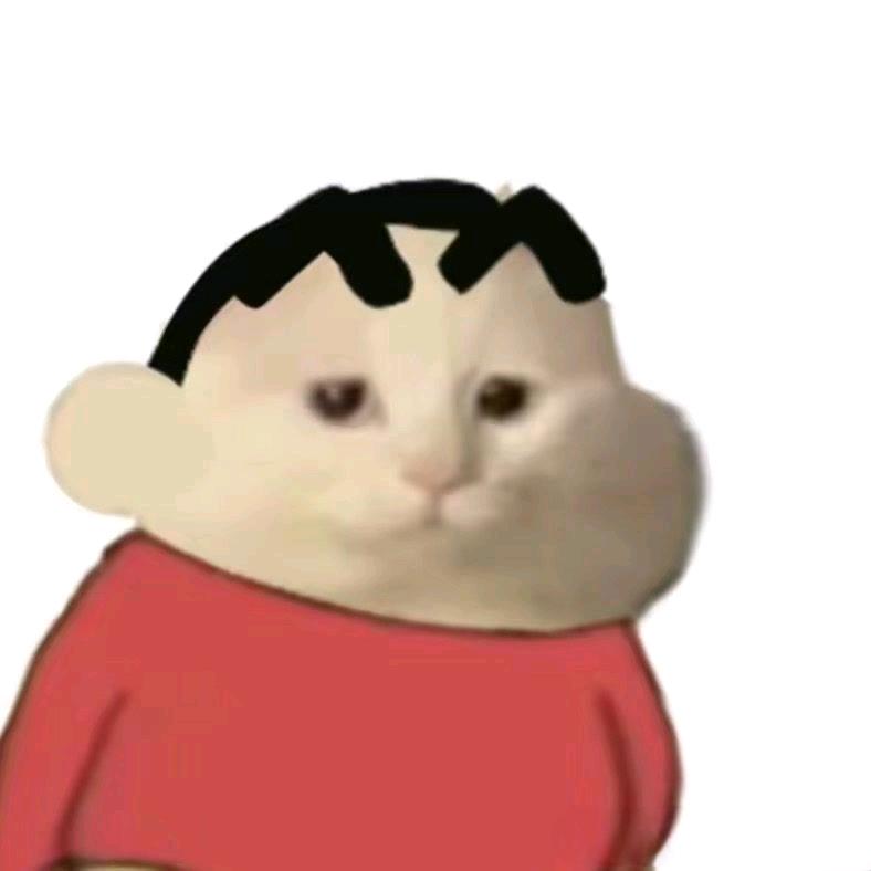 王哈哈