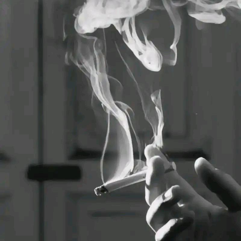封心鎖愛