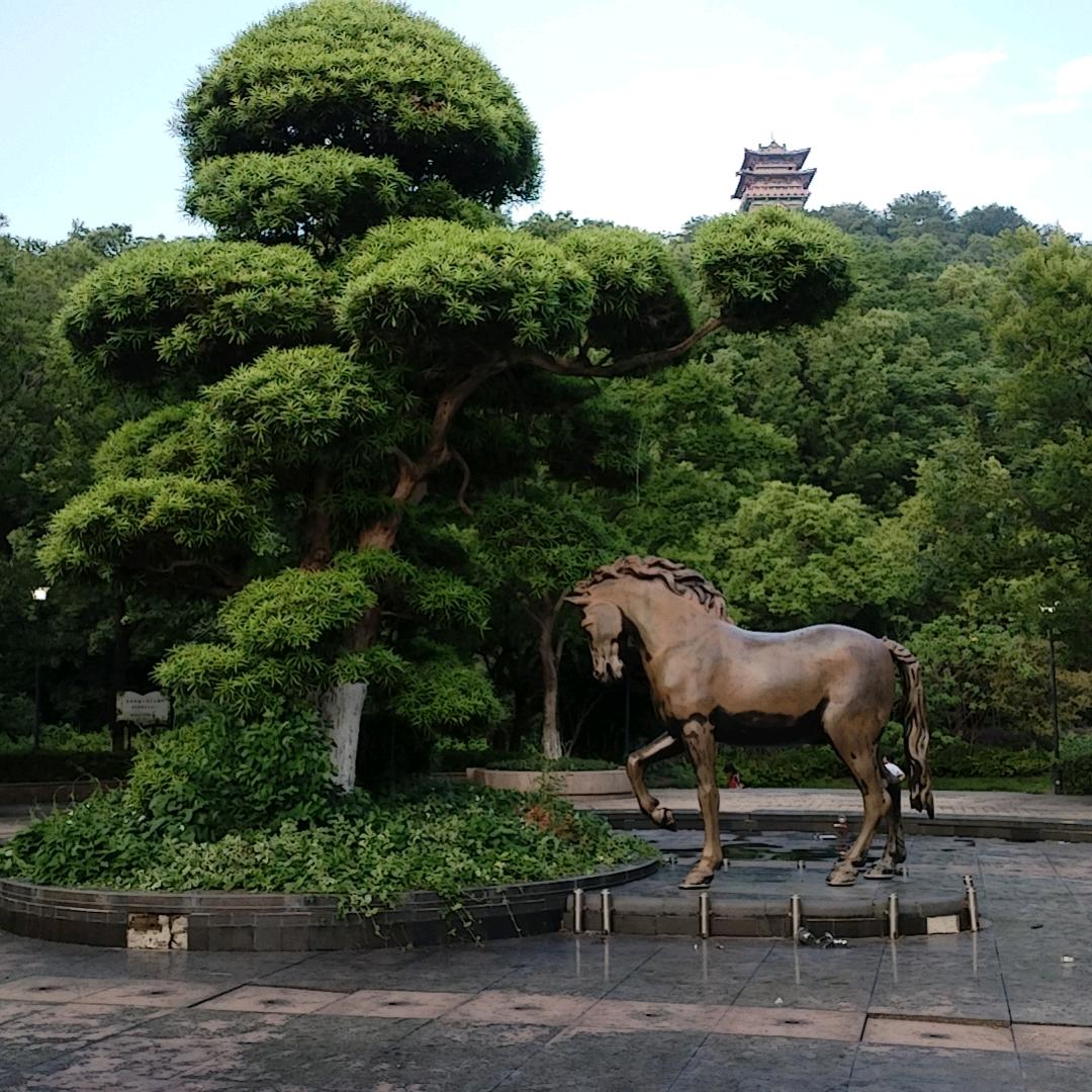 ╰绝版好男人