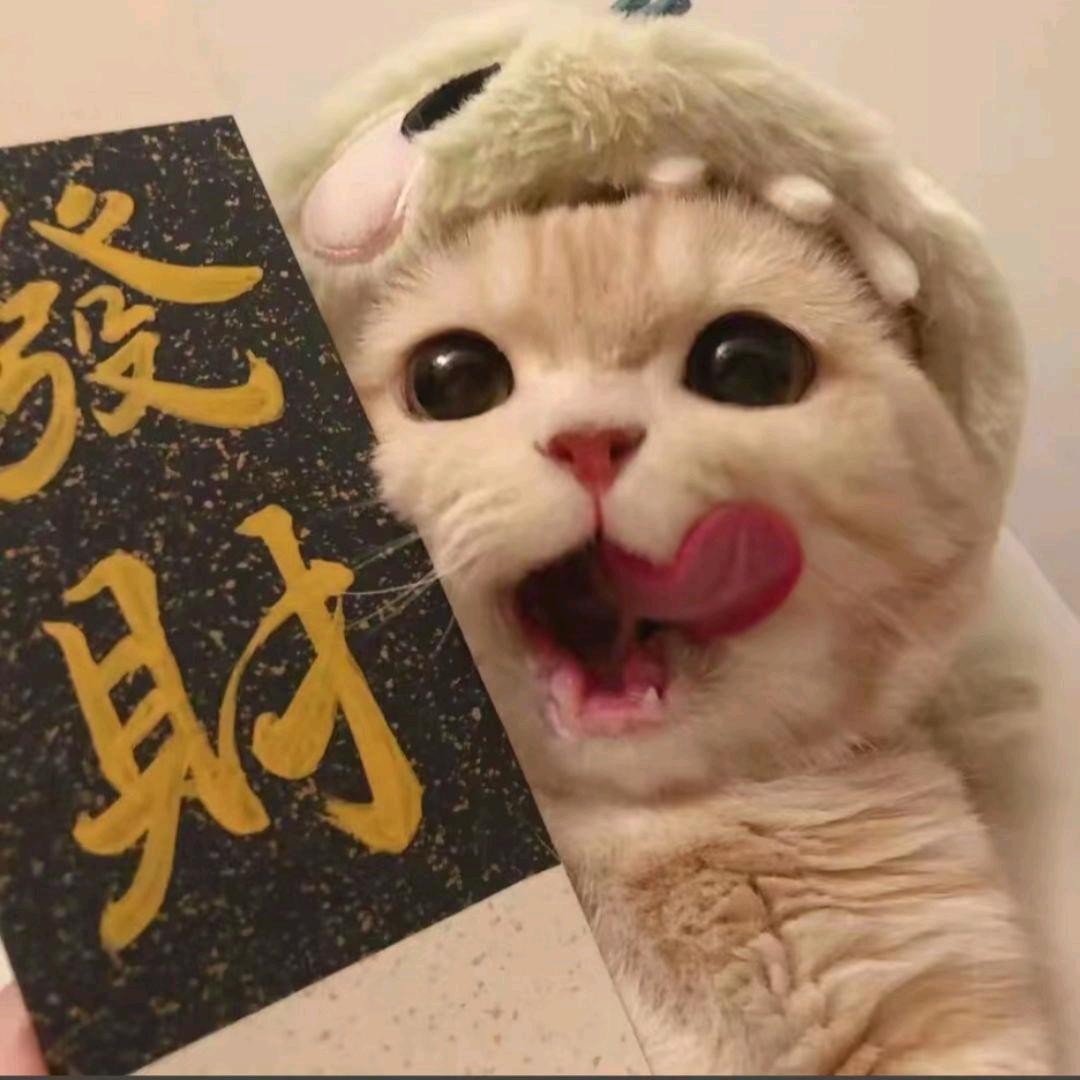 世界毁灭我睡觉