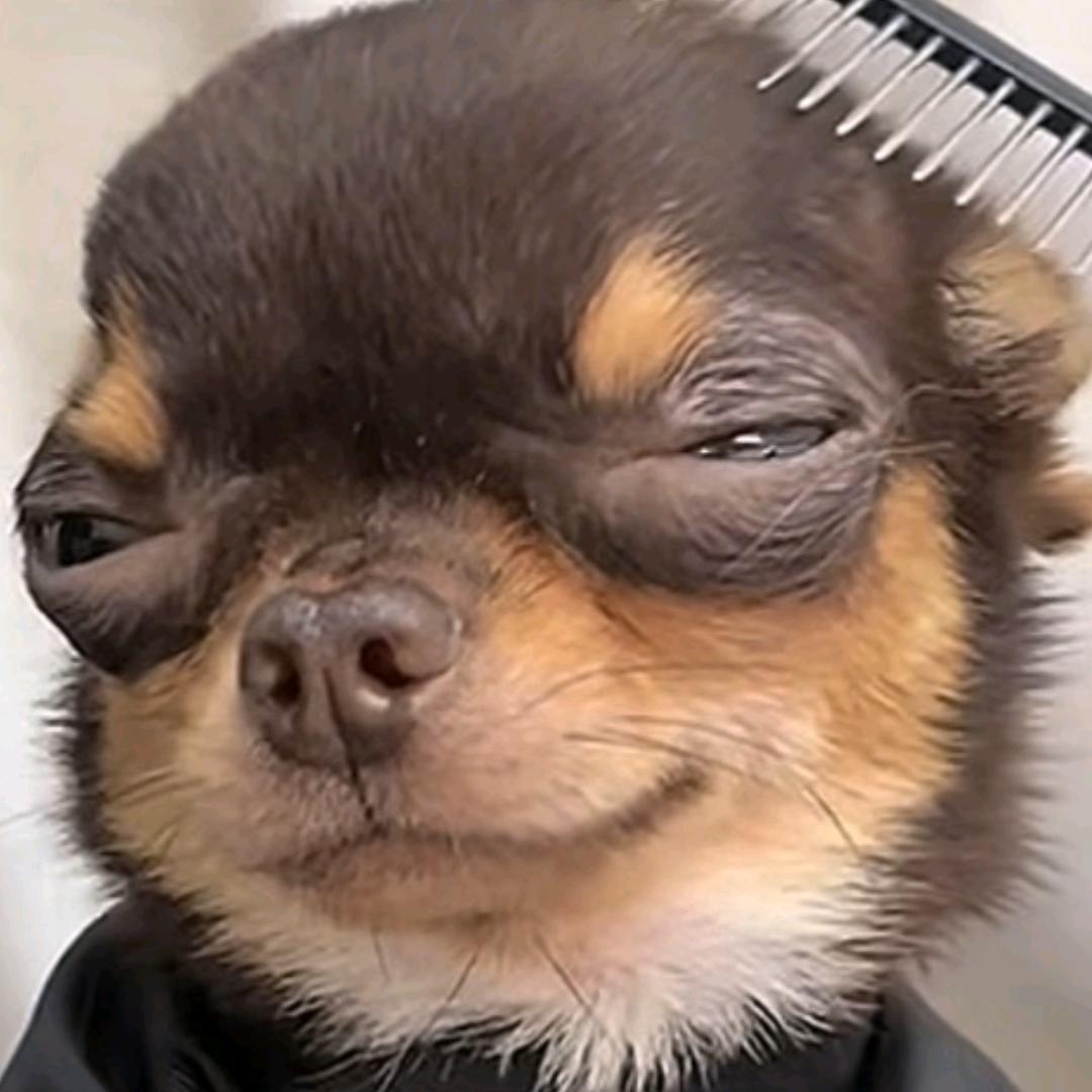 重生之我在抖音