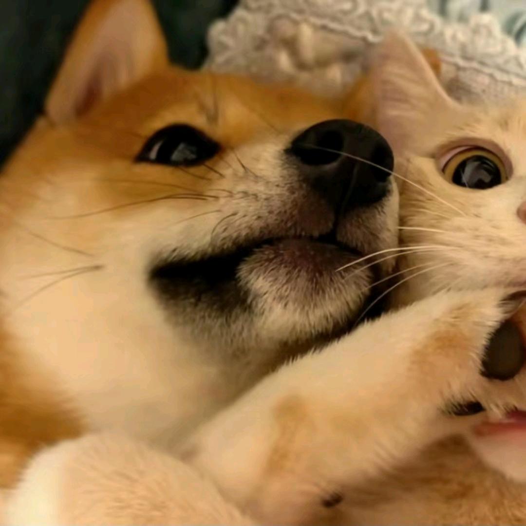 wu#