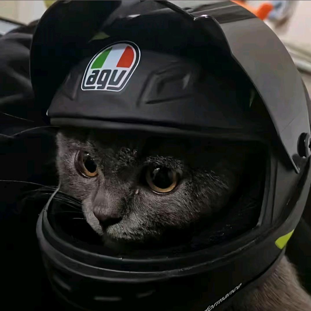 Pan