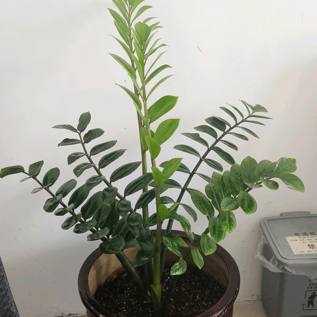 顺其自然🎈