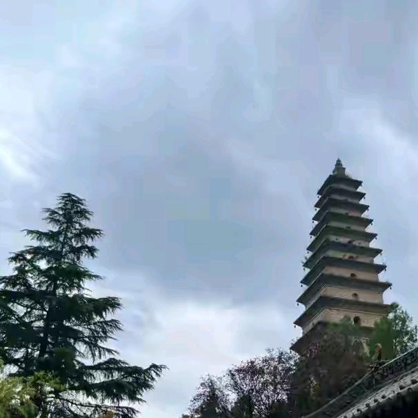 艺术园