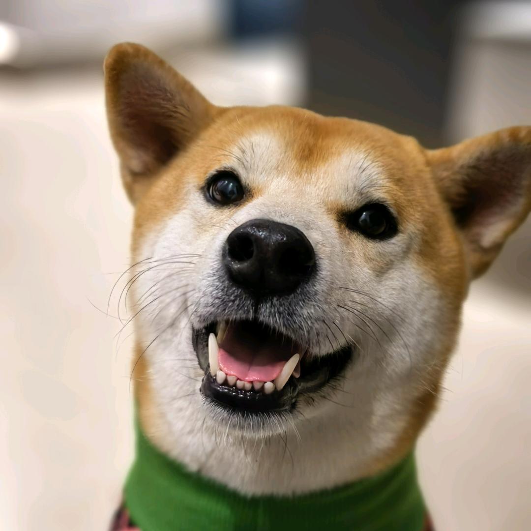 先生很忙