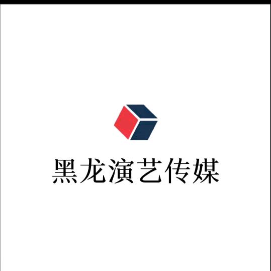 安徽黑龍传媒