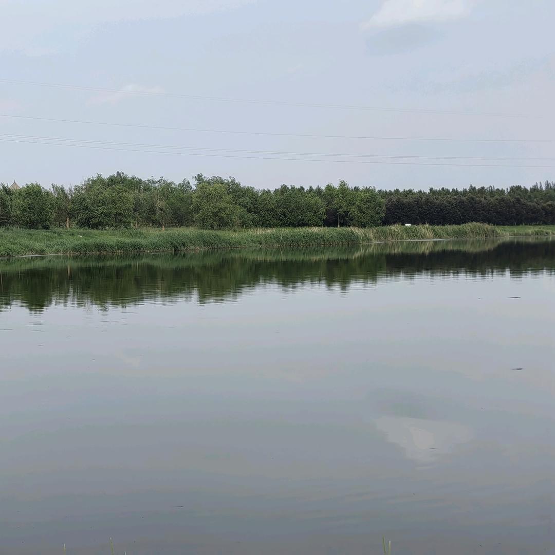 酱油炒柠檬拌辣椒再加点糖