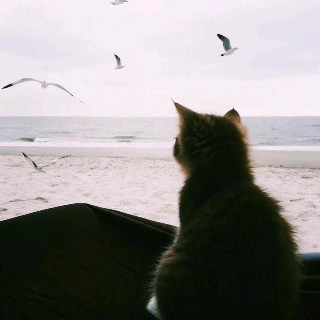 ￴￴￴￴ ￴￴ ￴￴ ￴￴￴