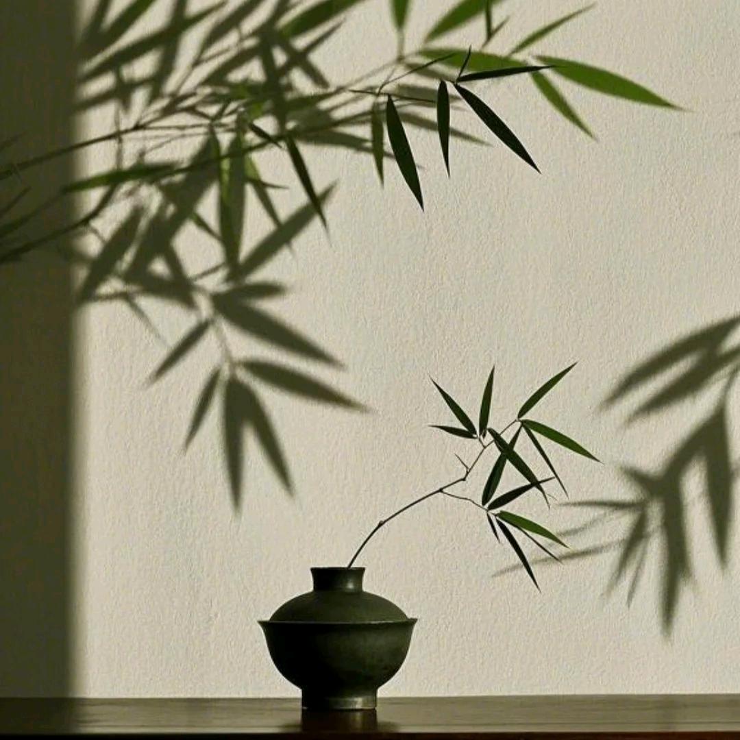 静缘