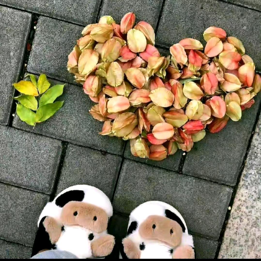 此生💘不ℯ⃝弃