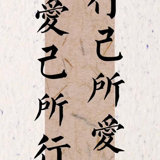 自由飞翔