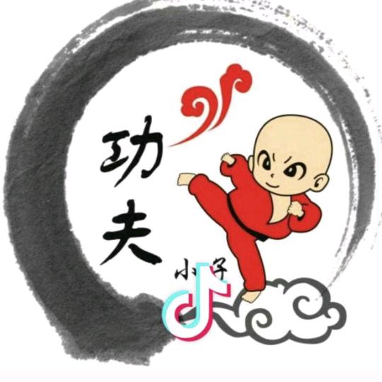 洪港武术功夫小子