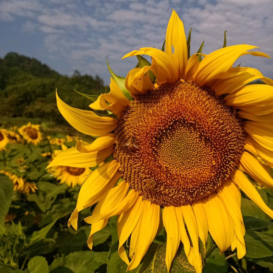 此生有你陪伴。