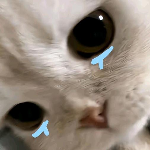 然然然