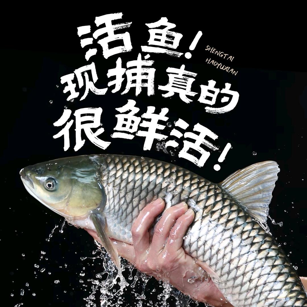 鲜鱼火锅官方号