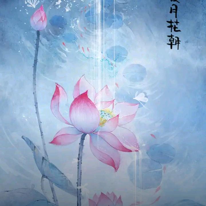 刘大姐吖！