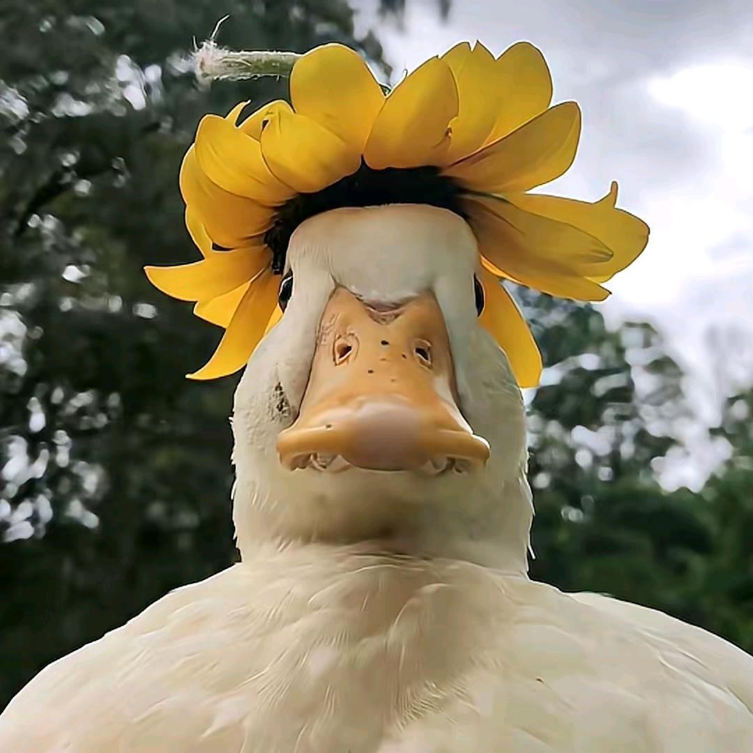 百味才人生