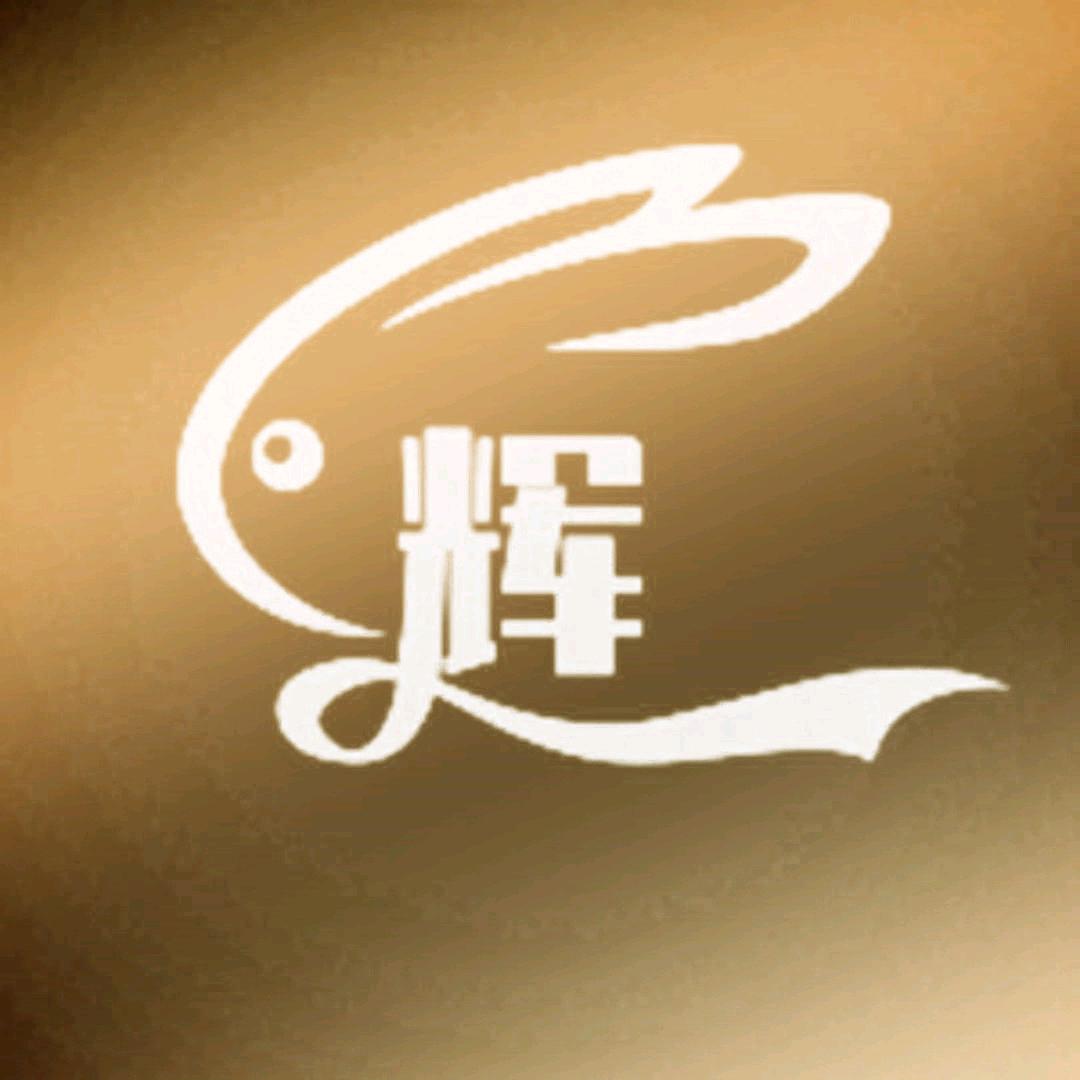 💫辉哥💫